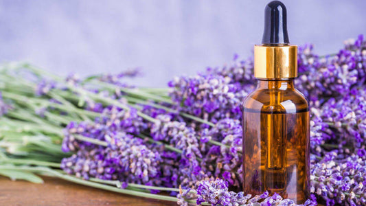 How Lavender Oil Can Help You Sleep Better Tonight